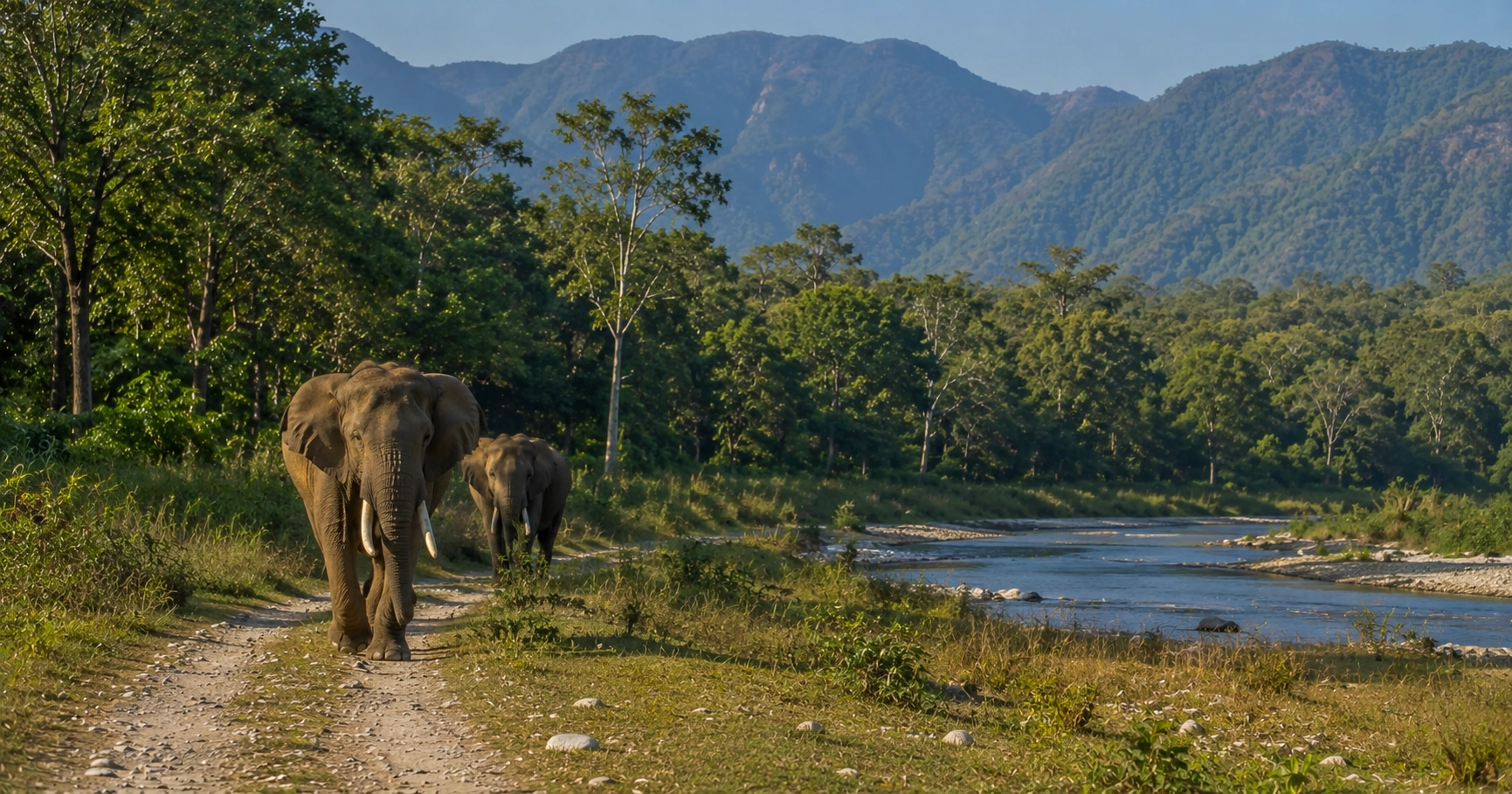 Rajaji National Park